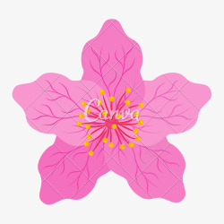 粉色樱花日本旅游活动海报素材