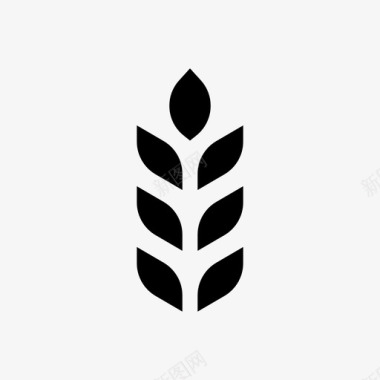小麦农业水稻图标