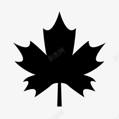 枫树加拿大叶图标