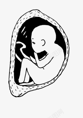 怀孕婴儿肚子图标