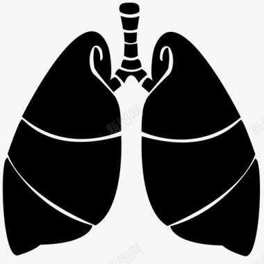 肾脏器官肺器官内脏图标