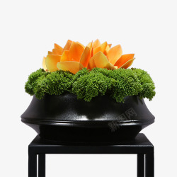 新中式仿真手感绿植菜花蕙兰套装花艺玄关桌面茶室日式素材