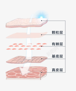 肌底素材