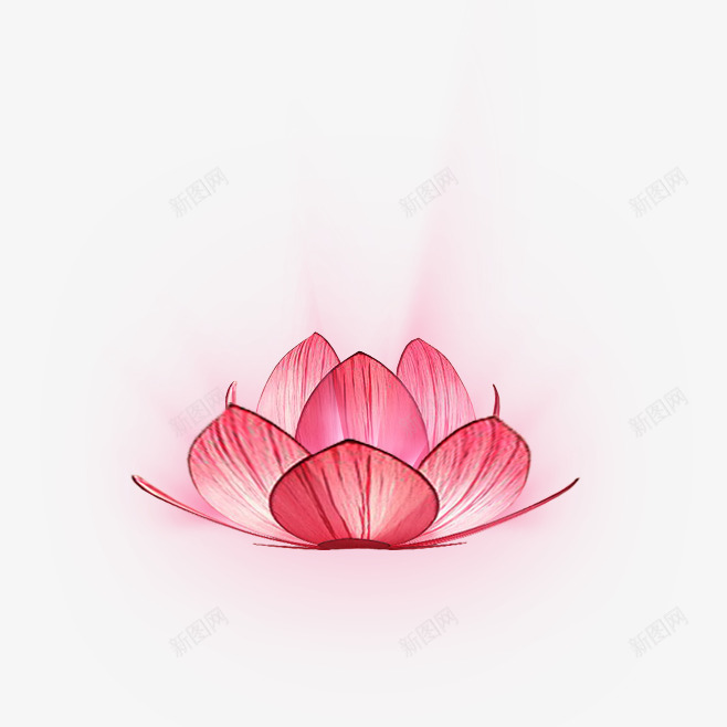 莲花灯2png免抠素材_88icon https://88icon.com 莲花 花灯