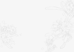 昙花素材