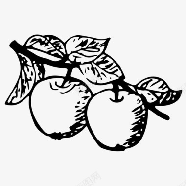 苹果苹果树水果图标