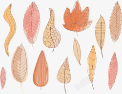 叶子秋水彩秋天植物植物区系素材