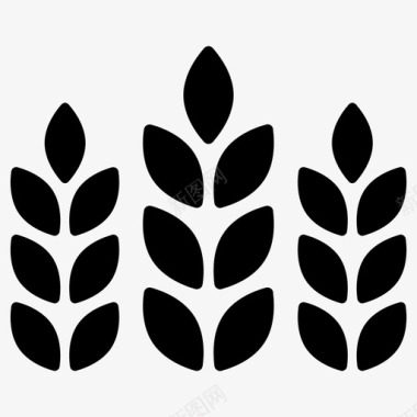 粮食素材小麦大麦谷类图标
