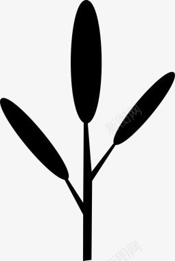 植物鲜花植物自然松树图标