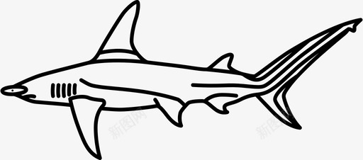 大锤头鲨捕猎捕食者图标