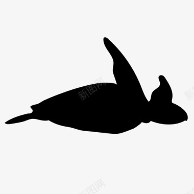海龟游泳动物海洋图标