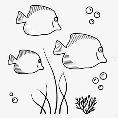 热带鱼珊瑚海藻图标