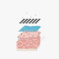 皮肤结构素材