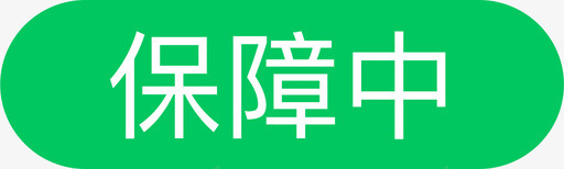 ICON保障保障中图标