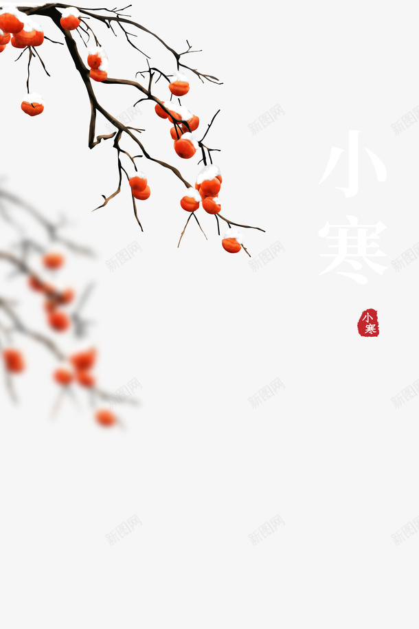 小寒印章柿子树枝装饰元素图png免抠素材_88icon https://88icon.com 元素图 印章 合同印章 小寒 柿子树枝 章刻 艺术字 装饰