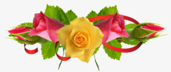 玫瑰抠图美极了装饰素材