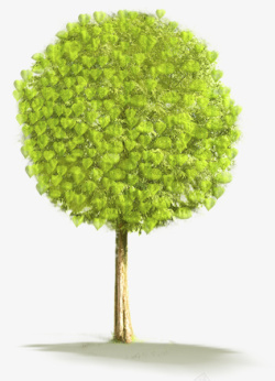 植物树叶和树绿色素材