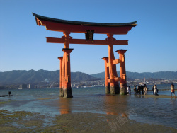 陆游日本地标景点鸟居高清图片