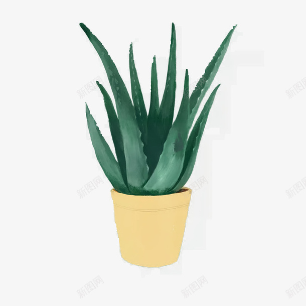 盆栽摆件植物1psd免抠素材_88icon https://88icon.com 植物 摆件 装饰 盆栽