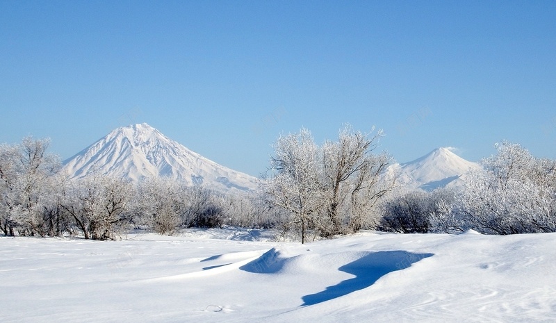 圣诞冬季背景19201116jpg设计背景_88icon https://88icon.com 圣诞节 12月 冬季 下雪