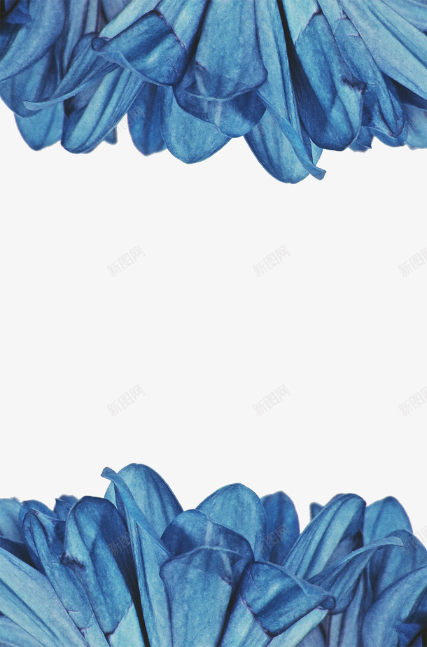蓝色花瓣上下边框png免抠素材_88icon https://88icon.com 蓝色 花瓣 边框 素材 花朵