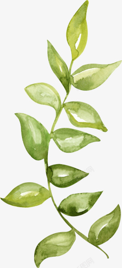 手绘水彩绿叶植物插画素材素材
