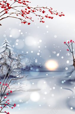 冬天梅花树枝装饰光效背景图背景