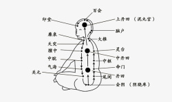 人体穴位素材