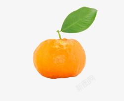 带叶子的橘子素材