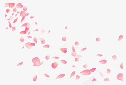飘色飞舞的粉花瓣高清图片