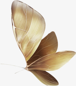 金色蝴蝶中国风素材