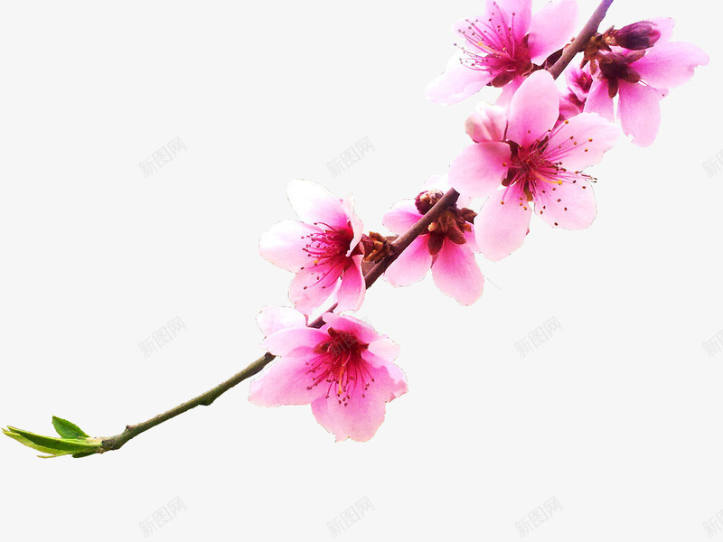 12345组合byyuganpng免抠素材_88icon https://88icon.com 组合