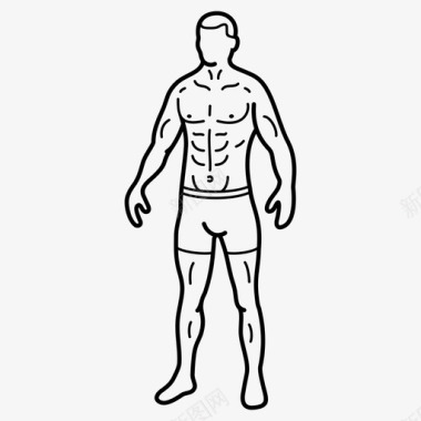 肌肉男肌肉男身体建筑工人图标