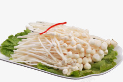 金针菇食材素材