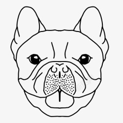 斗牛犬的脸法国斗牛犬犬脸高清图片