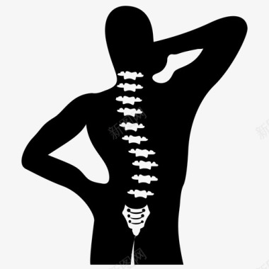 脊髓人体解剖学人体脊柱图标