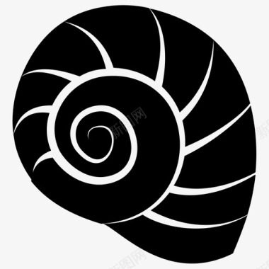 蜗牛海螺壳航海图标