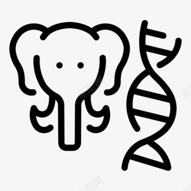 粉红色大象科学动物学哺乳动物学大象野生动物图标