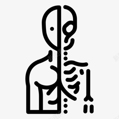 骨骼说明科学解剖学生物学医学图标