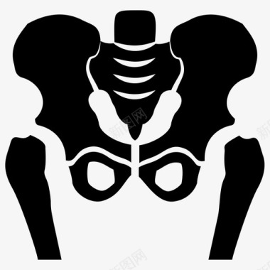 骨盆骨骼身体部分人体解剖学图标