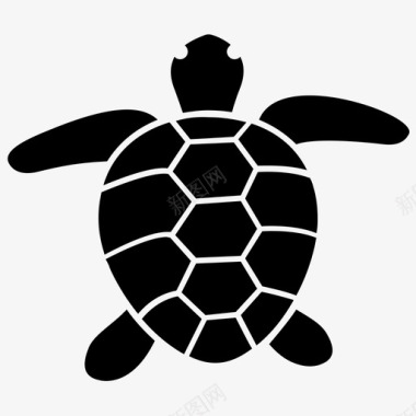 爬行动物海龟动物爬行动物图标