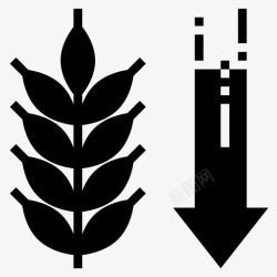 低碳水化合物低碳水化合物碳水化合物作物高清图片