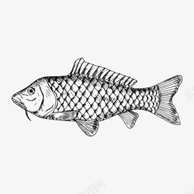 鱼动物素描图标