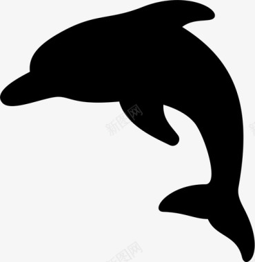 海豚海豚动物海洋图标