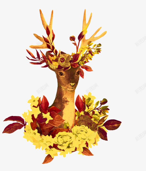 鹿动物颜色鲜花图png免抠素材_88icon https://88icon.com 动物 颜色 鲜花