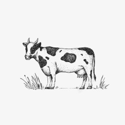 手绘奶牛透明创意卡通可爱免扣奶牛手绘素材