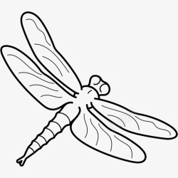 掠食掠食蜻蜓阿拉斯加州昆虫高清图片