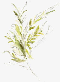 清新植物花朵美容水彩手绘花卉包装婚礼邀请卡图设计素材