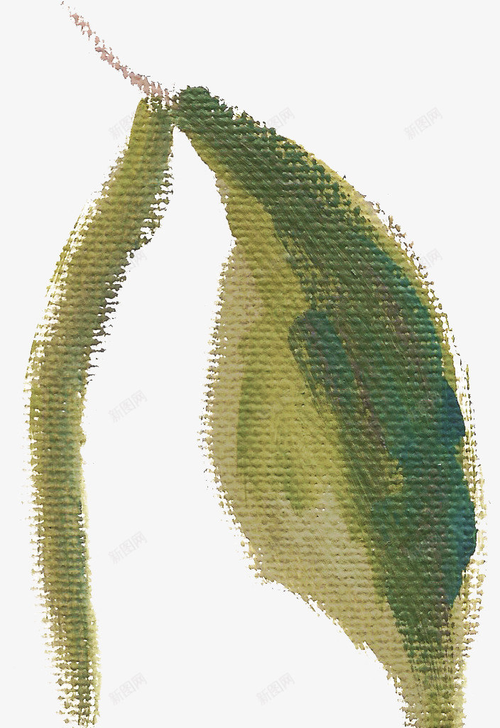 清新植物花朵美容水彩手绘花卉包装婚礼邀请卡图设计png免抠素材_88icon https://88icon.com 清新 植物 花朵 美容 水彩 手绘 花卉 包装 婚礼 邀请 卡图