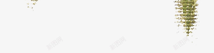 清新植物花朵美容水彩手绘花卉包装婚礼邀请卡图设计png免抠素材_88icon https://88icon.com 清新 植物 花朵 美容 水彩 手绘 花卉 包装 婚礼 邀请 卡图